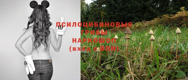 apvp Михайлов